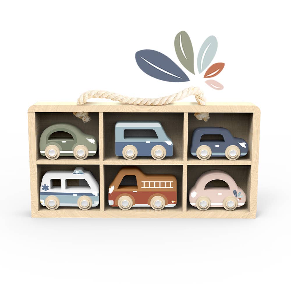 Wooden Cars with Display Case