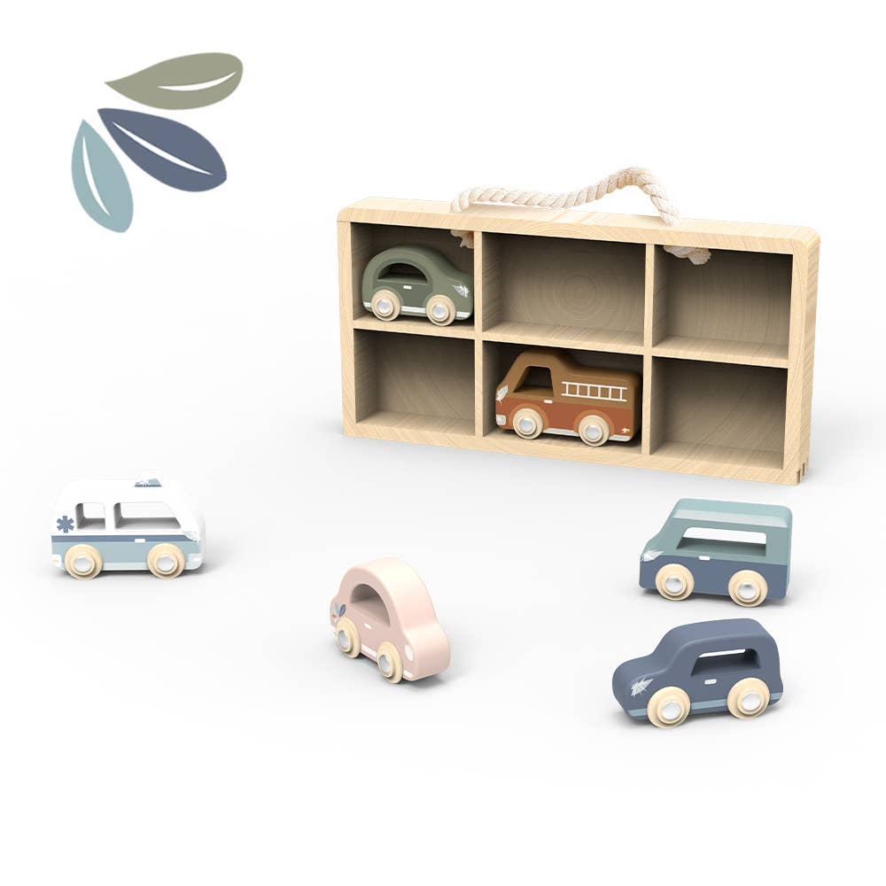 Wooden Cars with Display Case